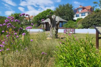 Bexhill park retains Green Flag status for 14th year - Bexhill Newspaper